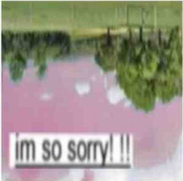 im so sorry! !!