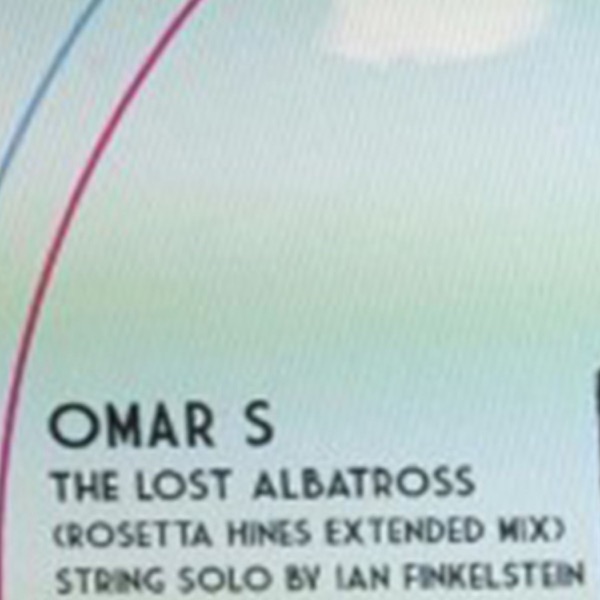 The Lost Albatross