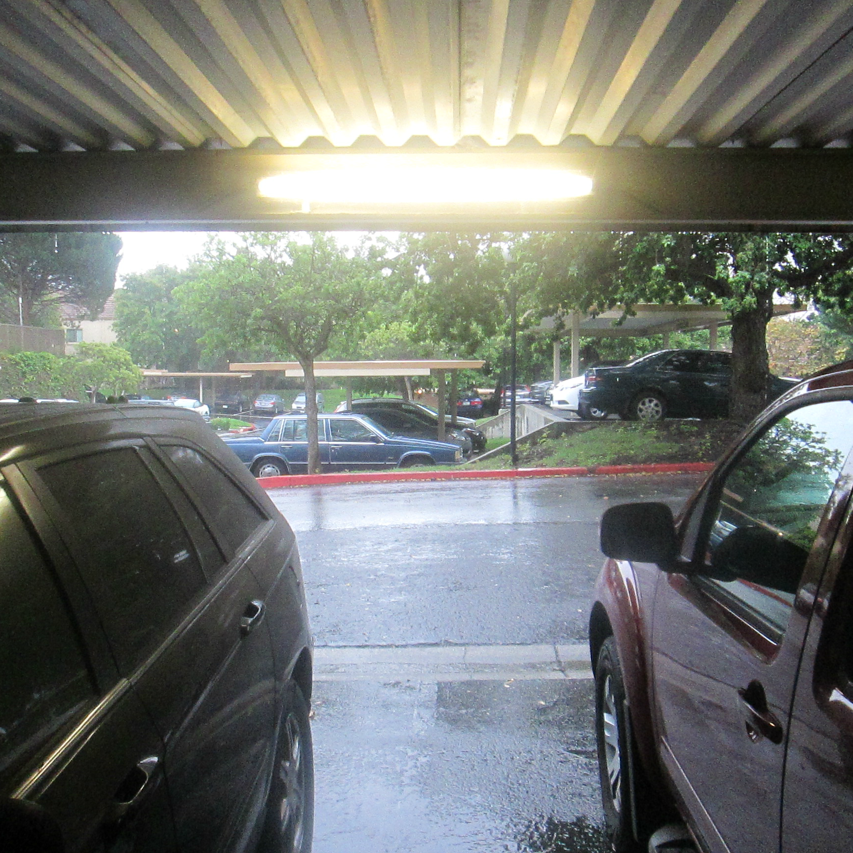 Rainy Morning