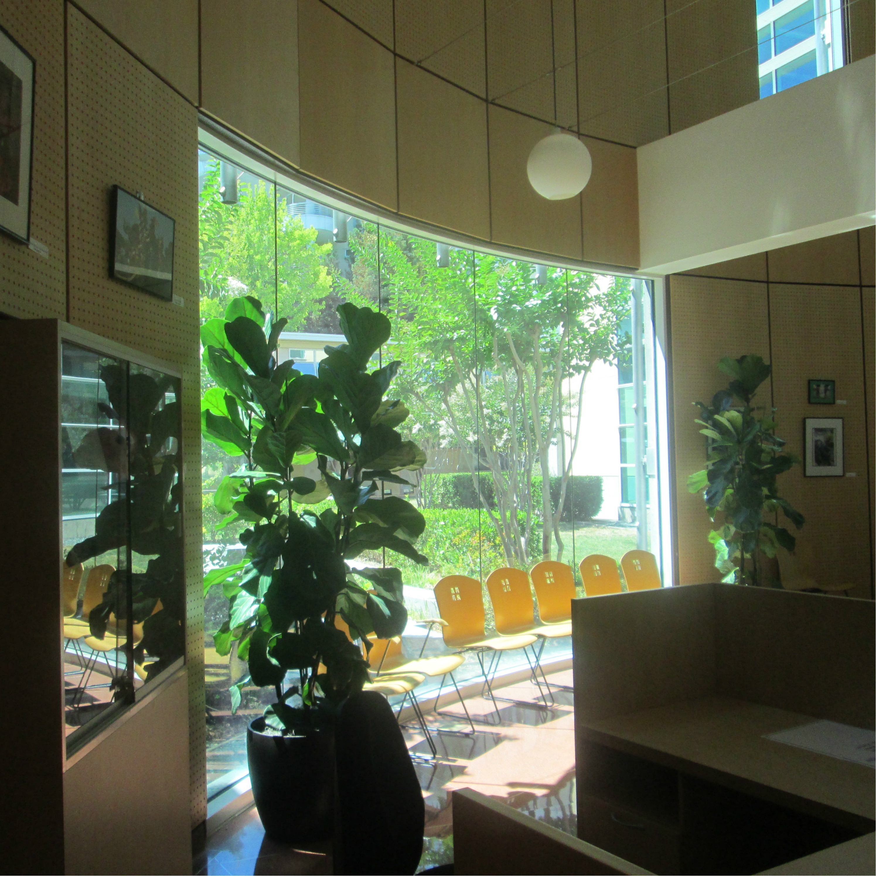 Hospital in Martinez