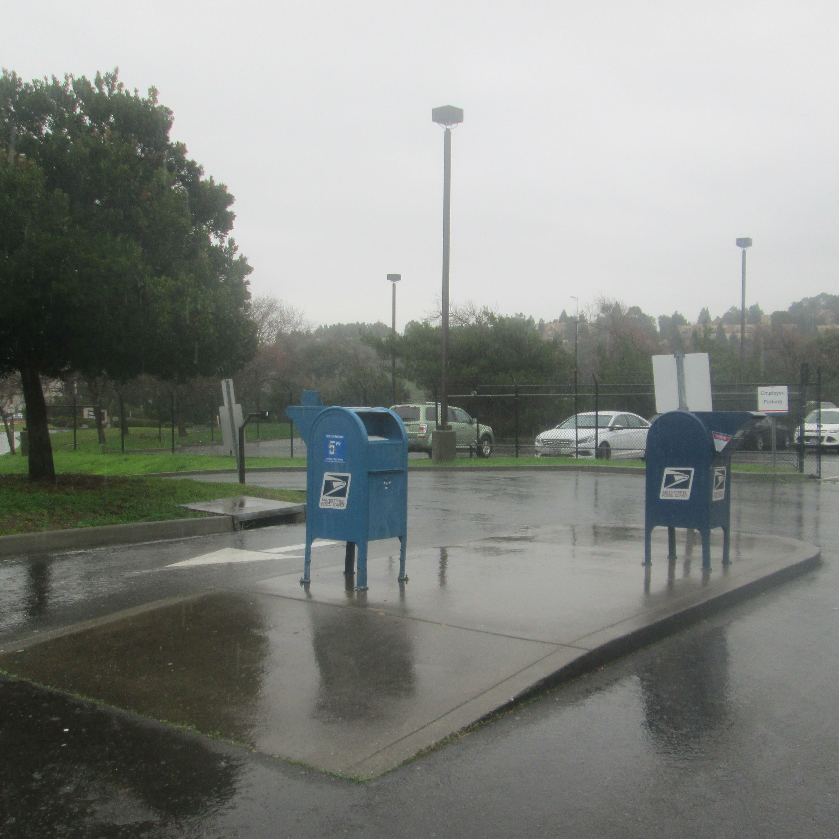 Rainy Monday 1/8/2018