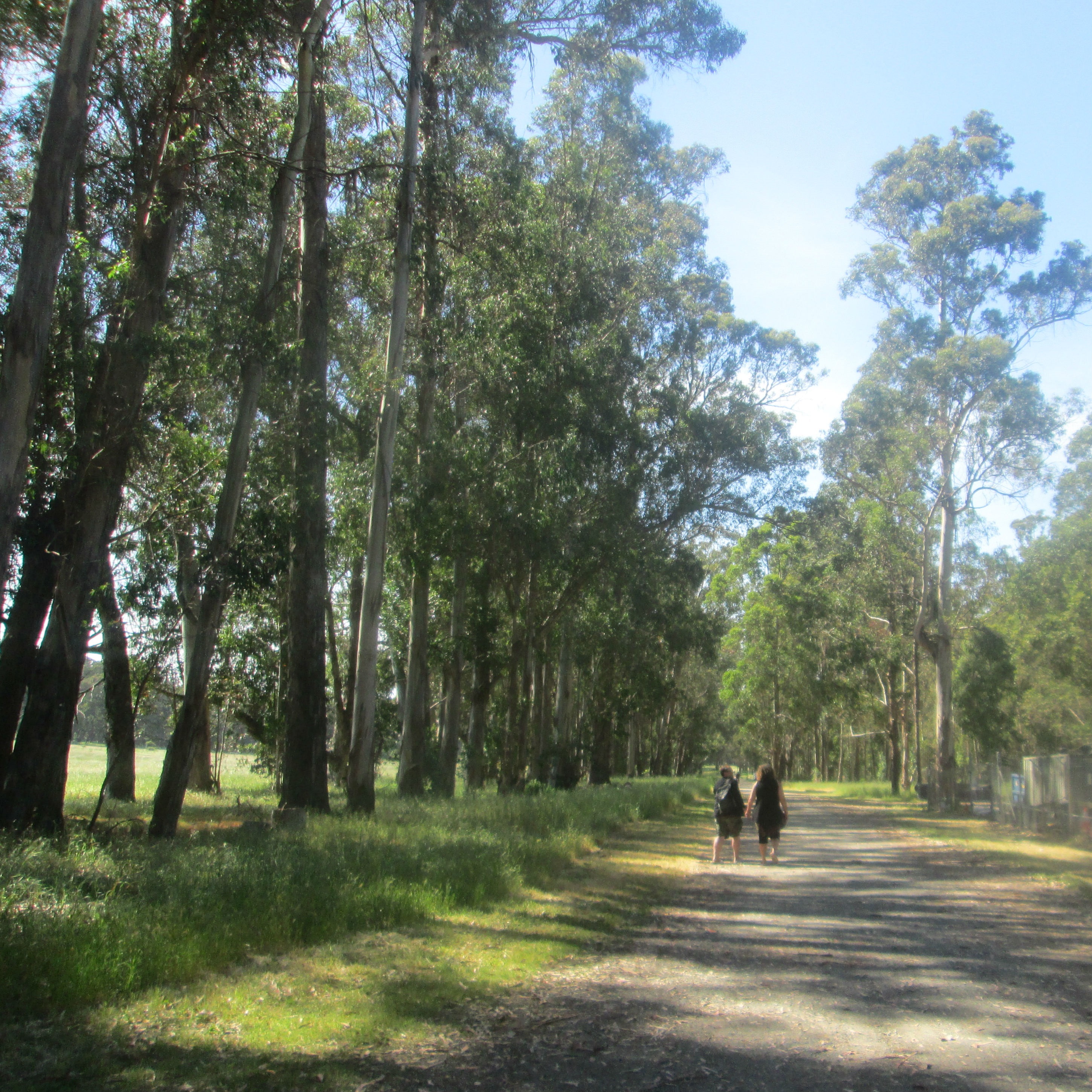 Pinole Shores Park