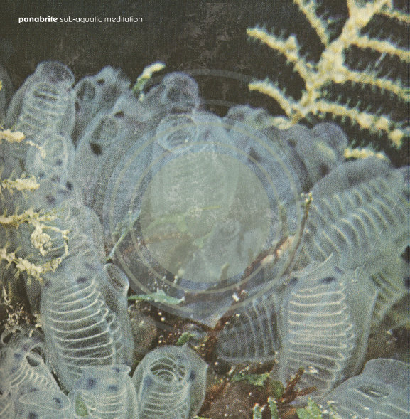 Sub‐Aquatic Meditation
