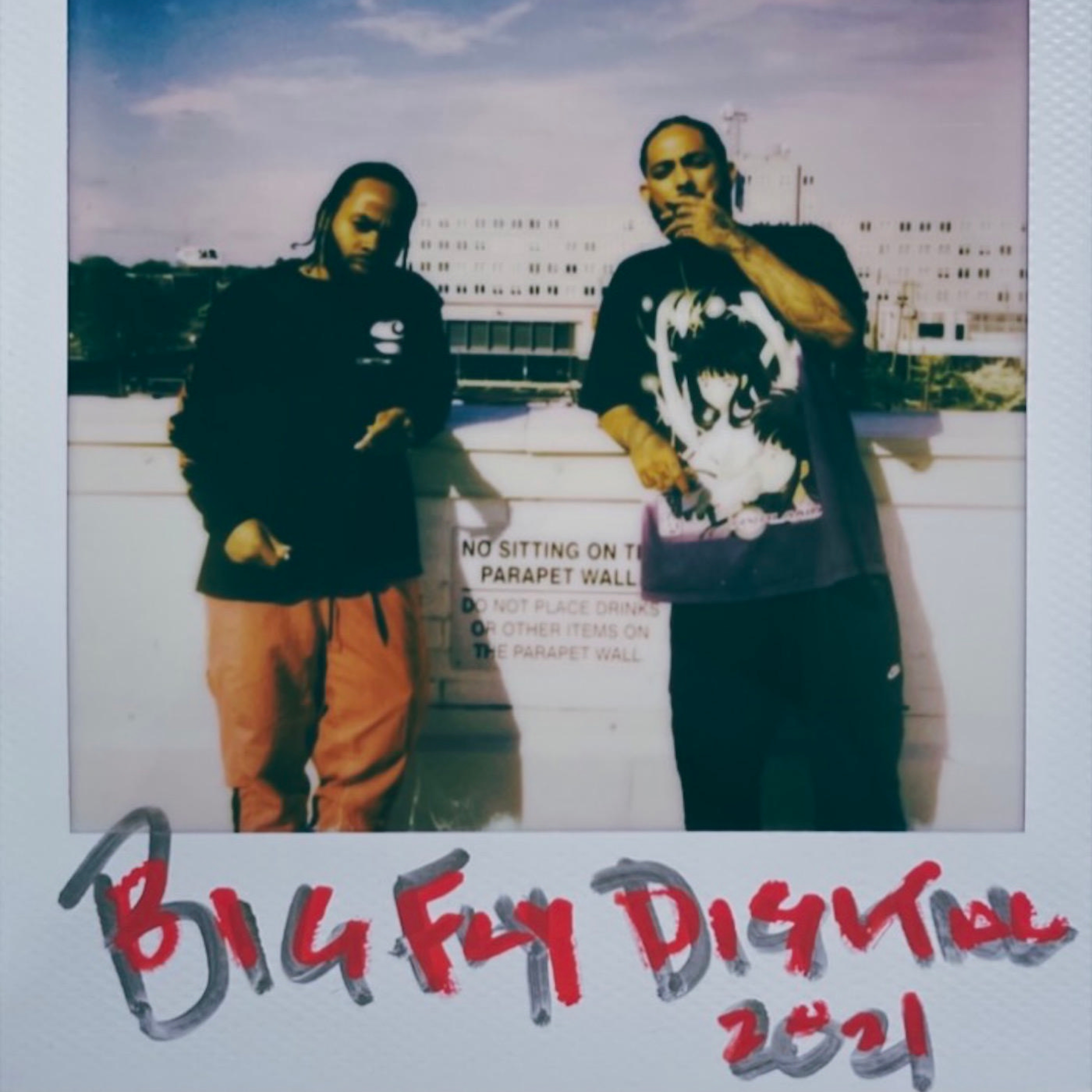 BIG FLY DIGITAL