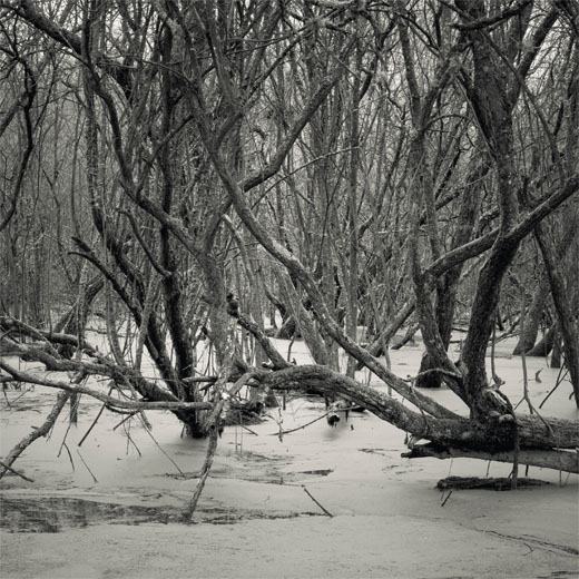 Cold and Distant, Not Loving