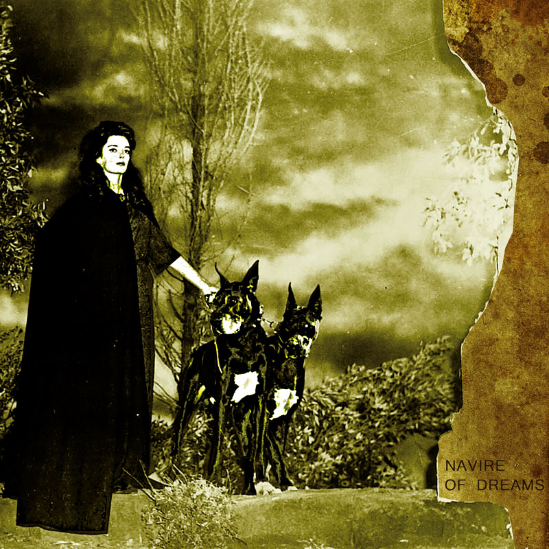 Beau Navire / Republic of Dreams