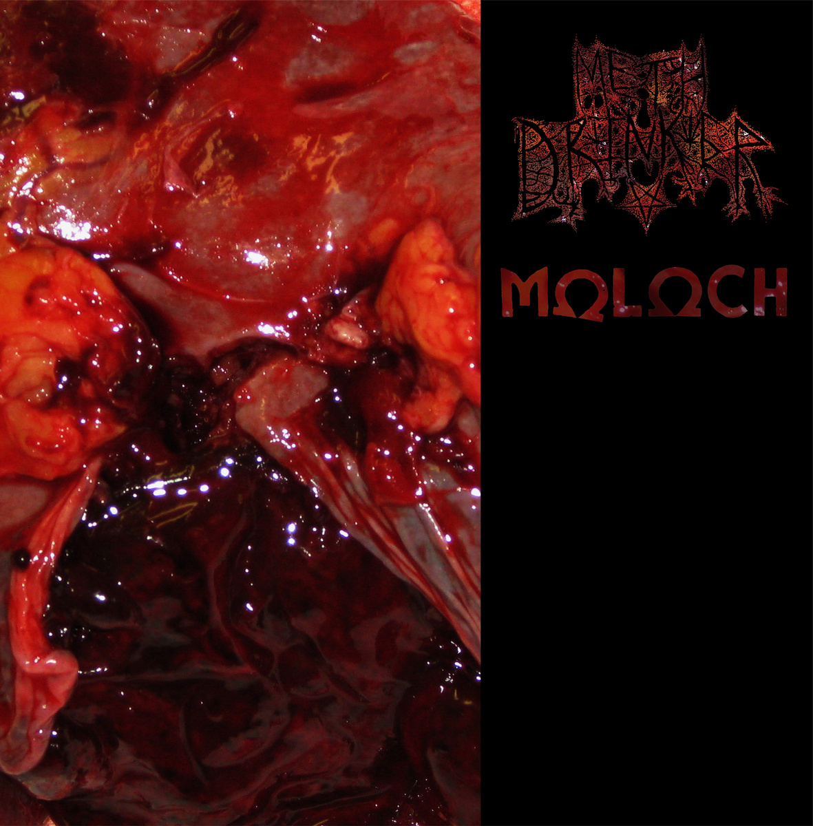 Meth Drinker / Moloch
