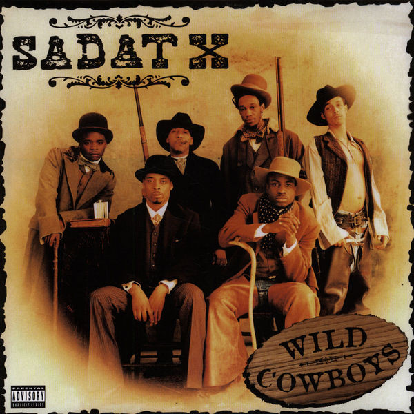 Wild Cowboys