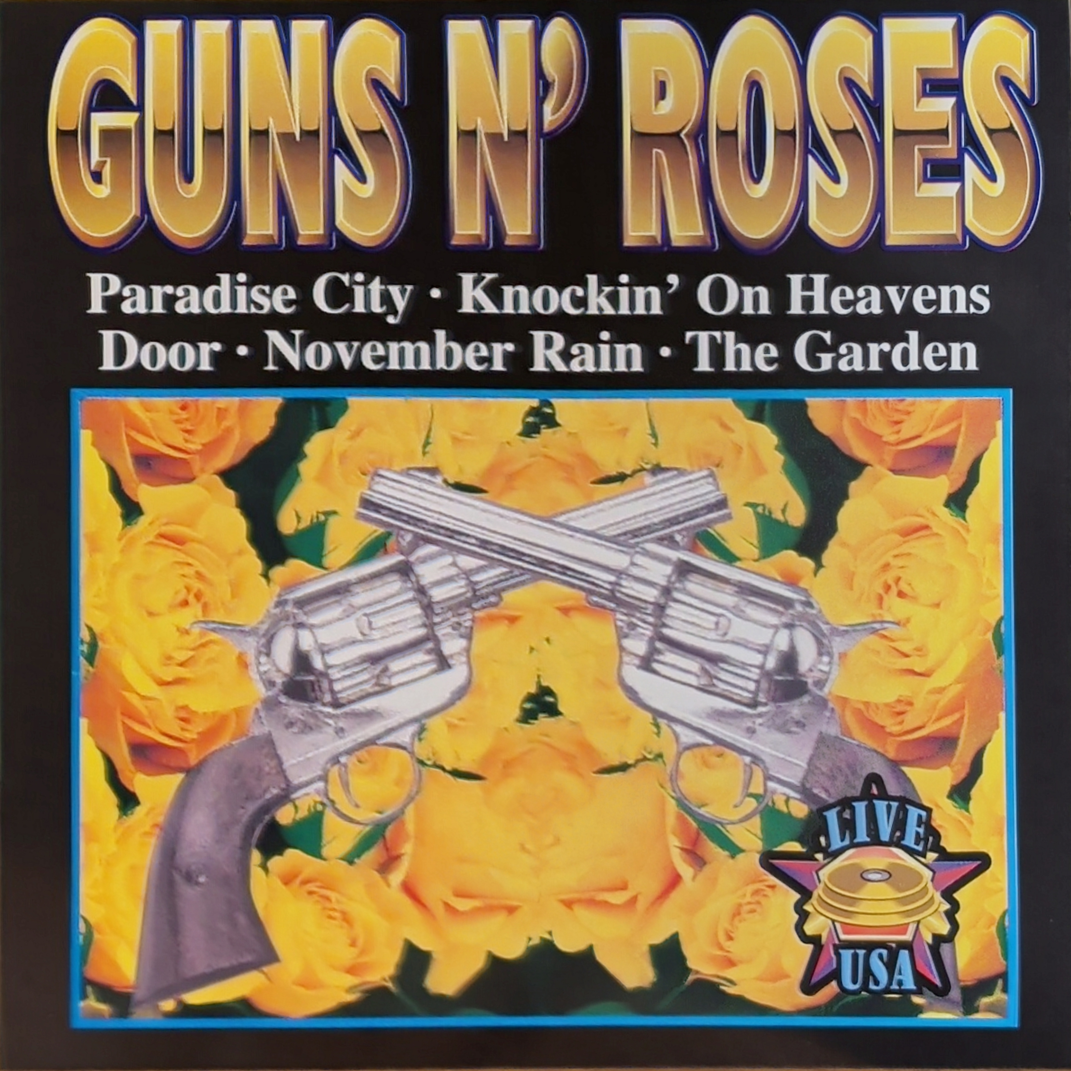 Guns N’ Roses: Live USA