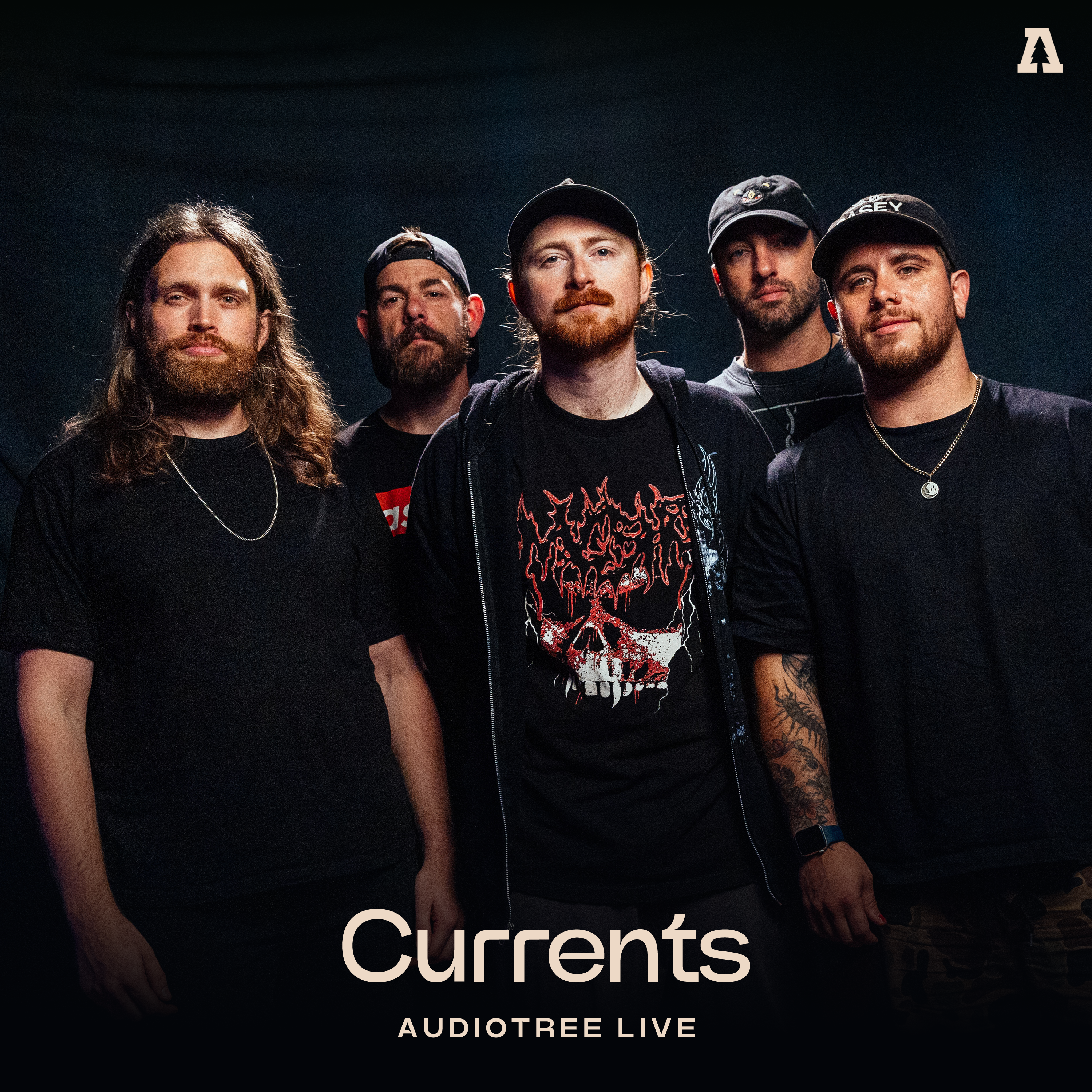 Audiotree Live