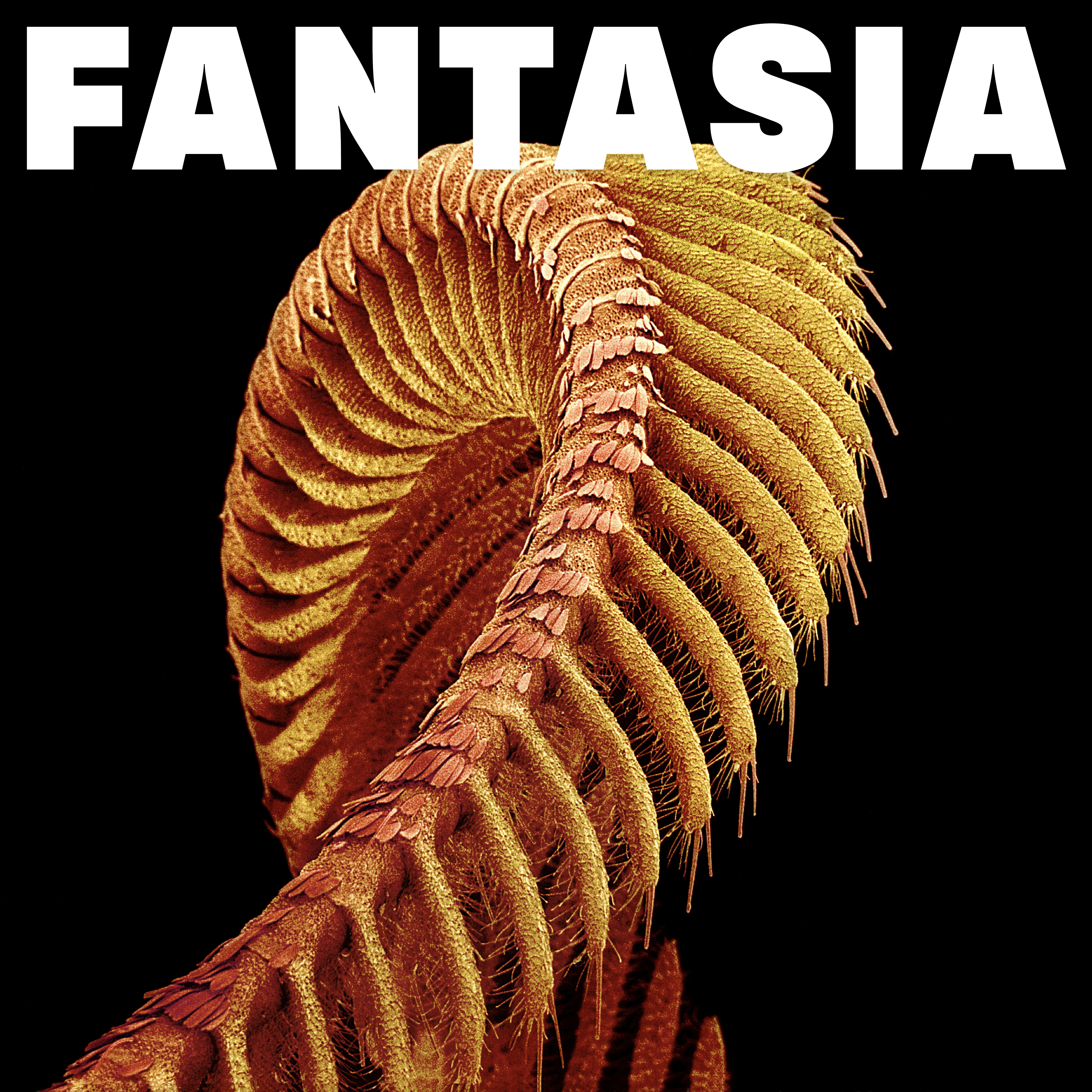 FANTASIA