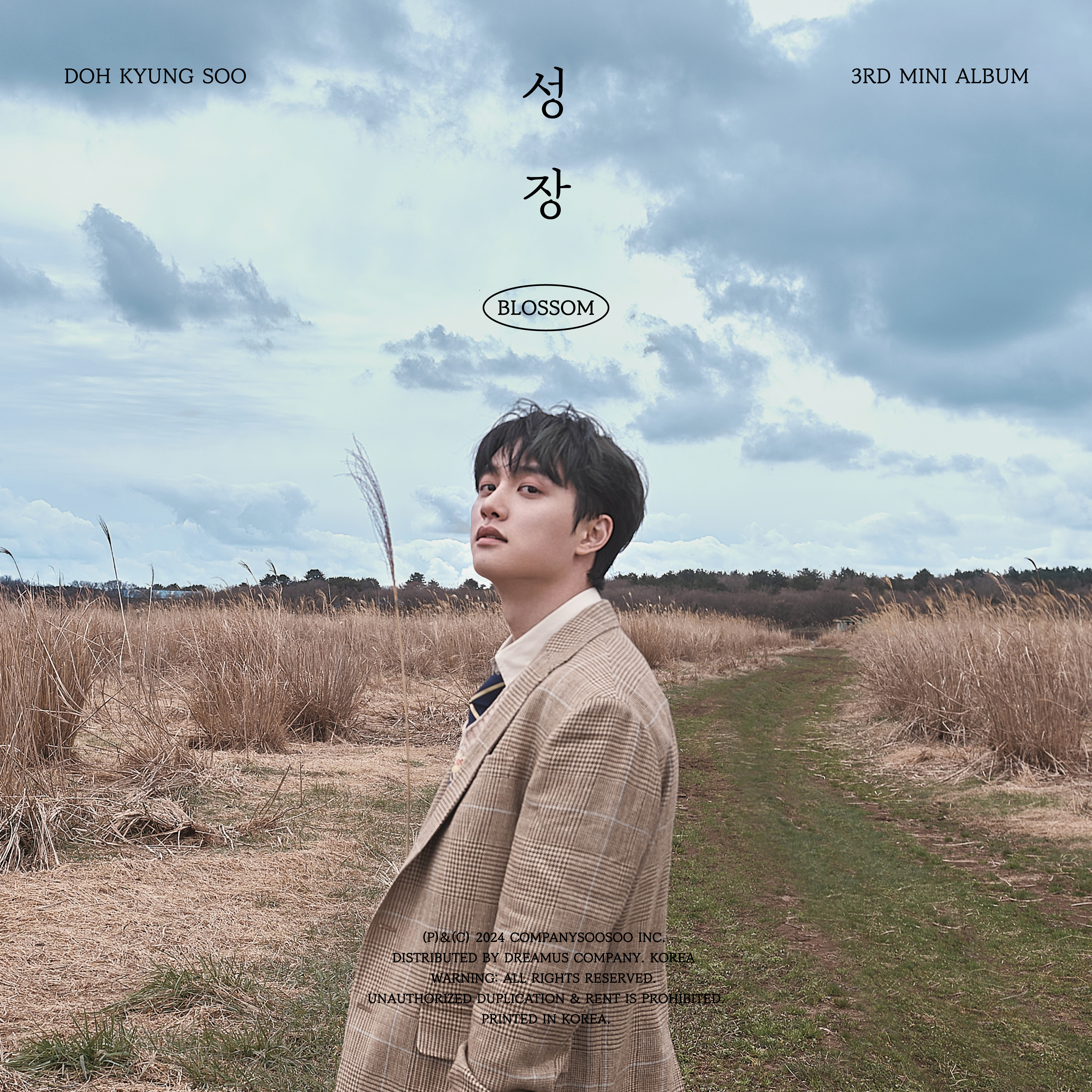 성장 (BLOSSOM)