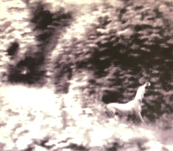Ghost Days