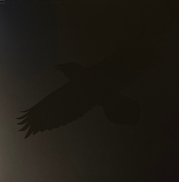 Odin’s Raven Magic