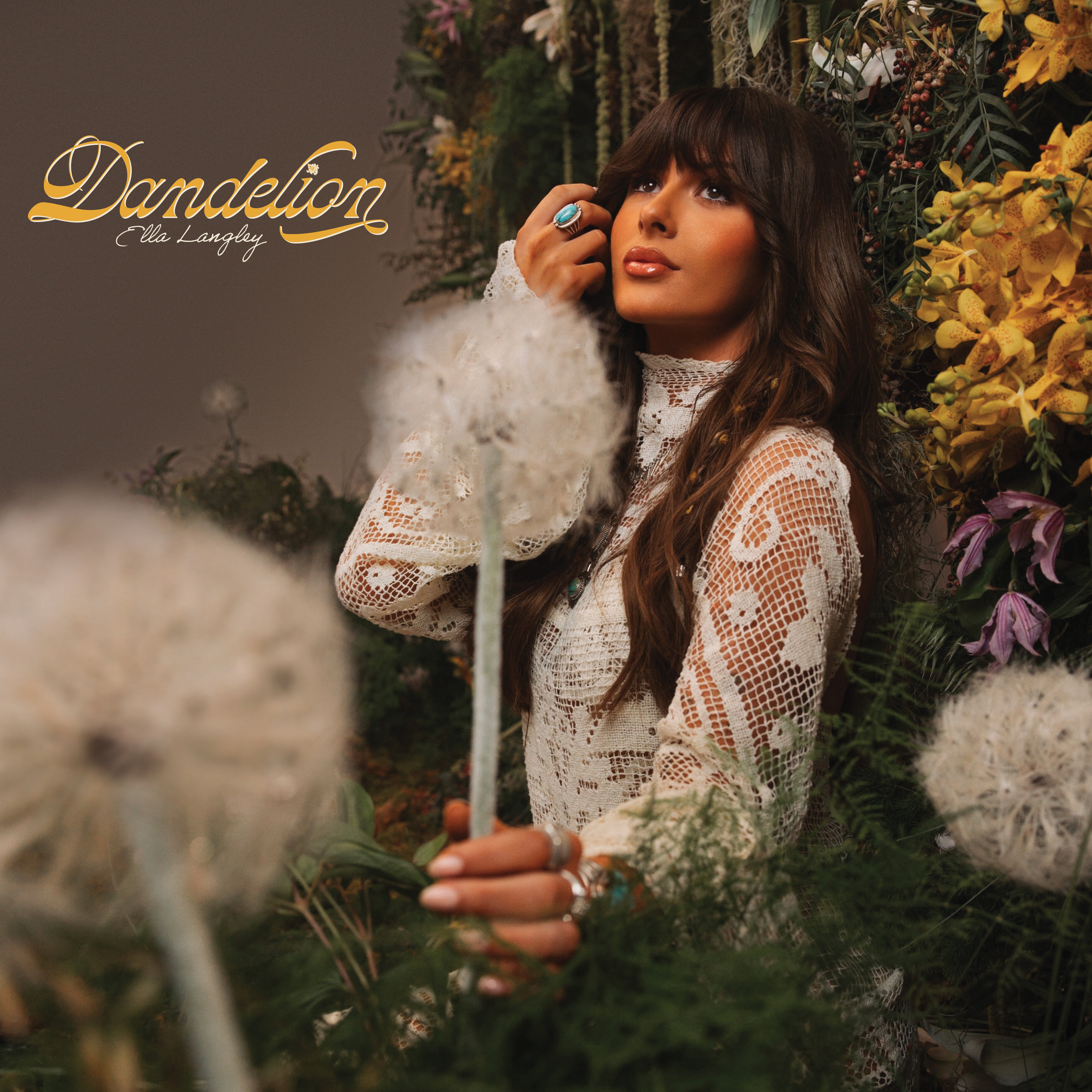 Dandelion