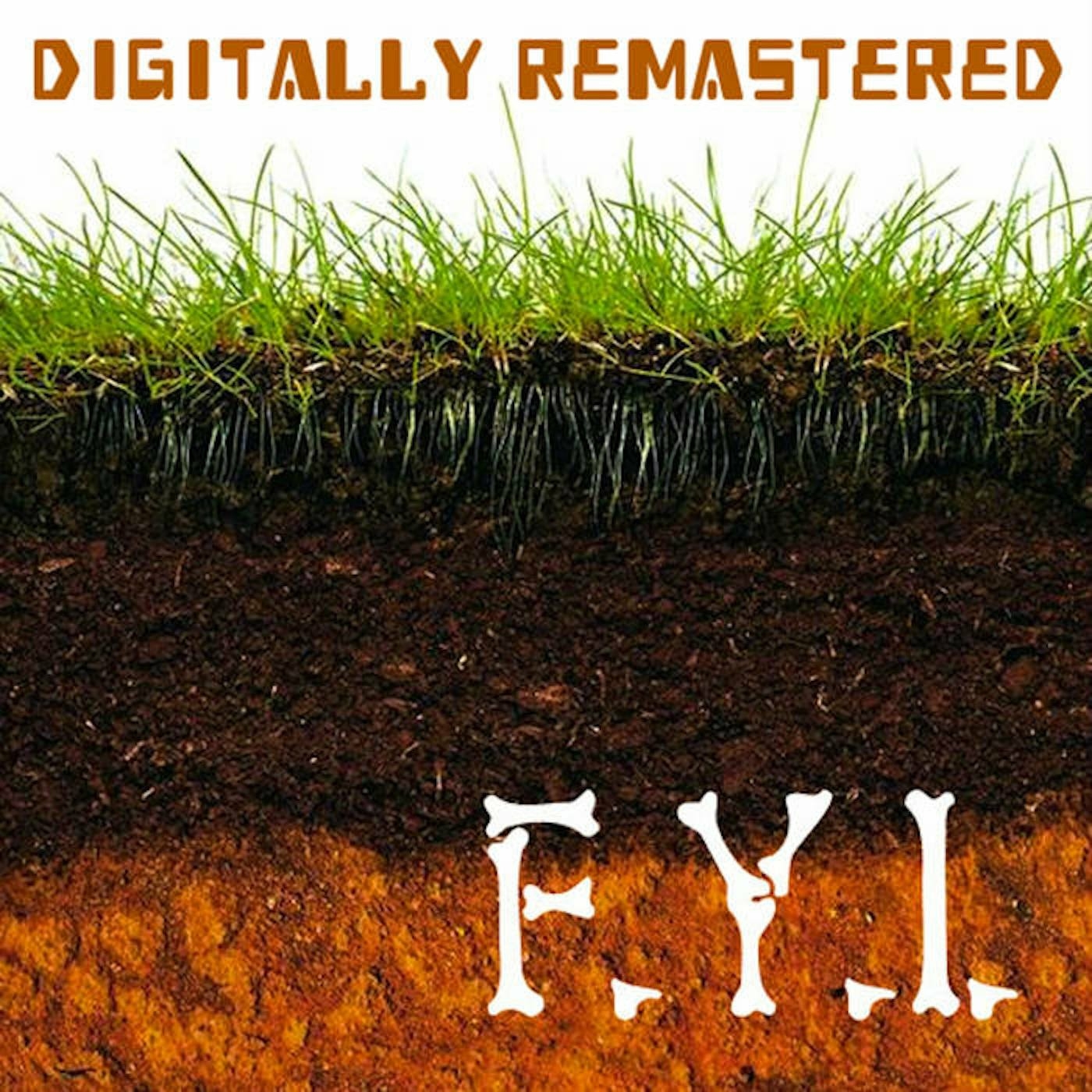 F.Y.I.