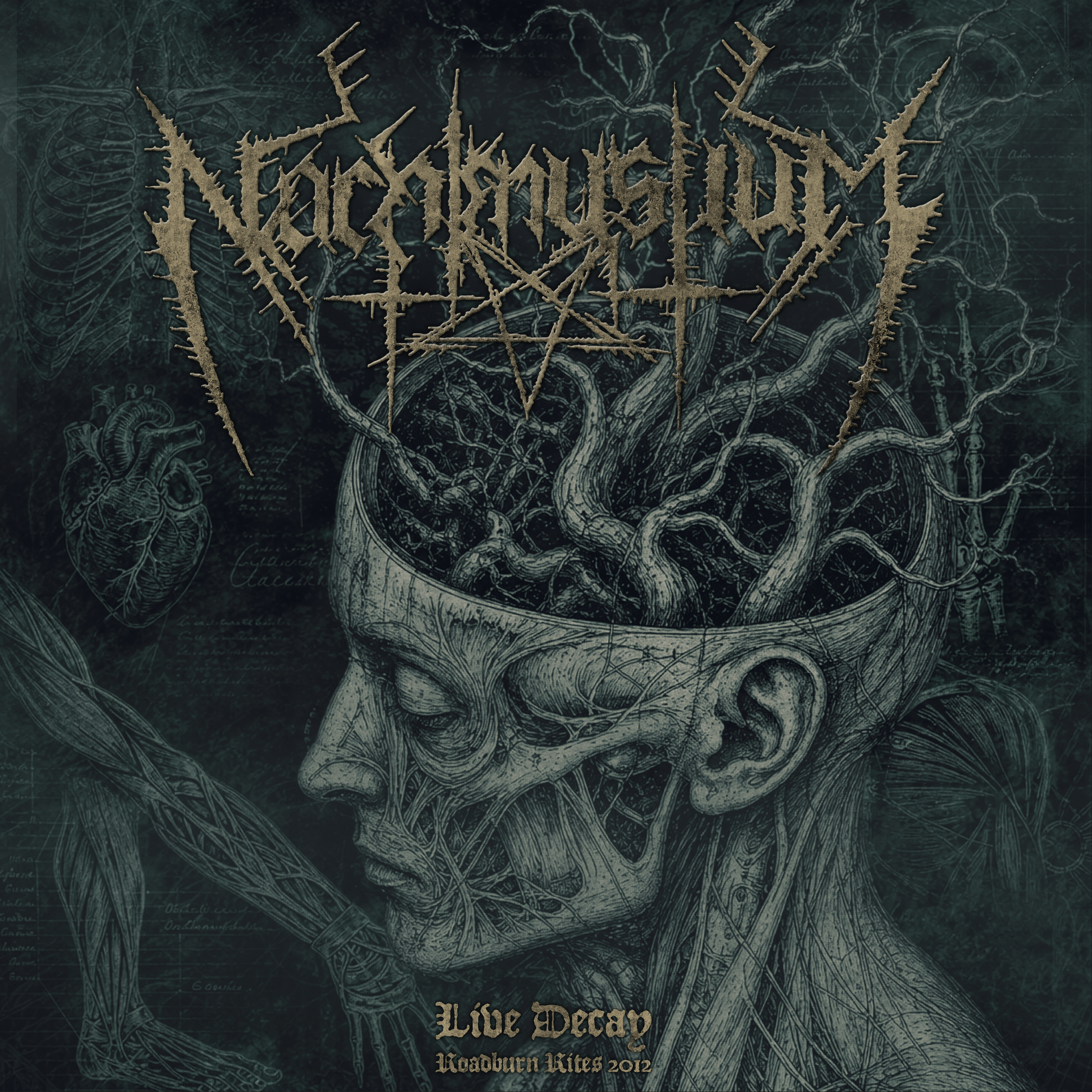 Live Decay: Roadburn Rites 2012