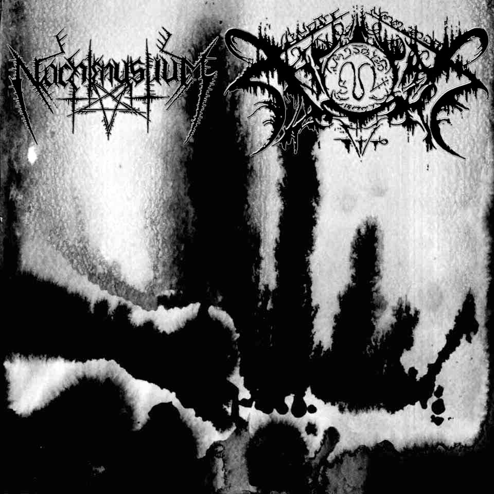 Nachtmystium / Xasthur