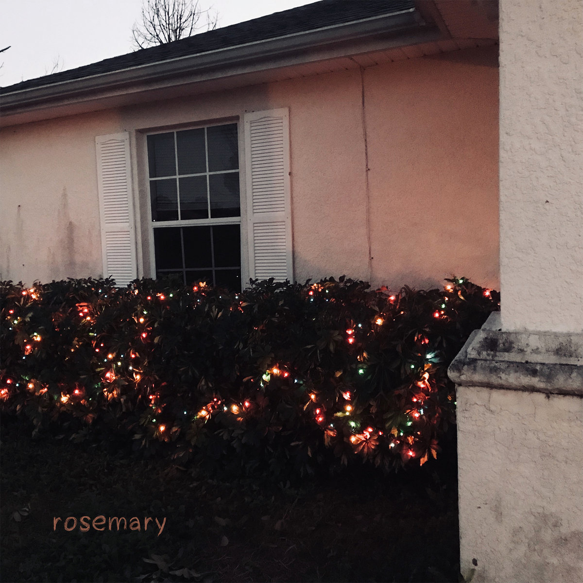 rosemary