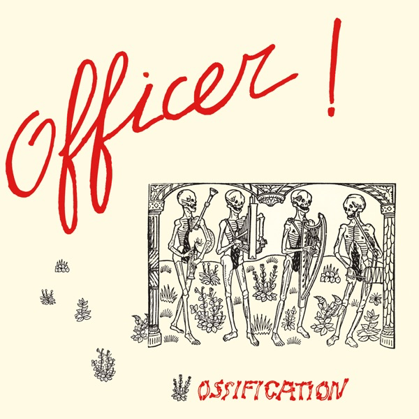 Ossification