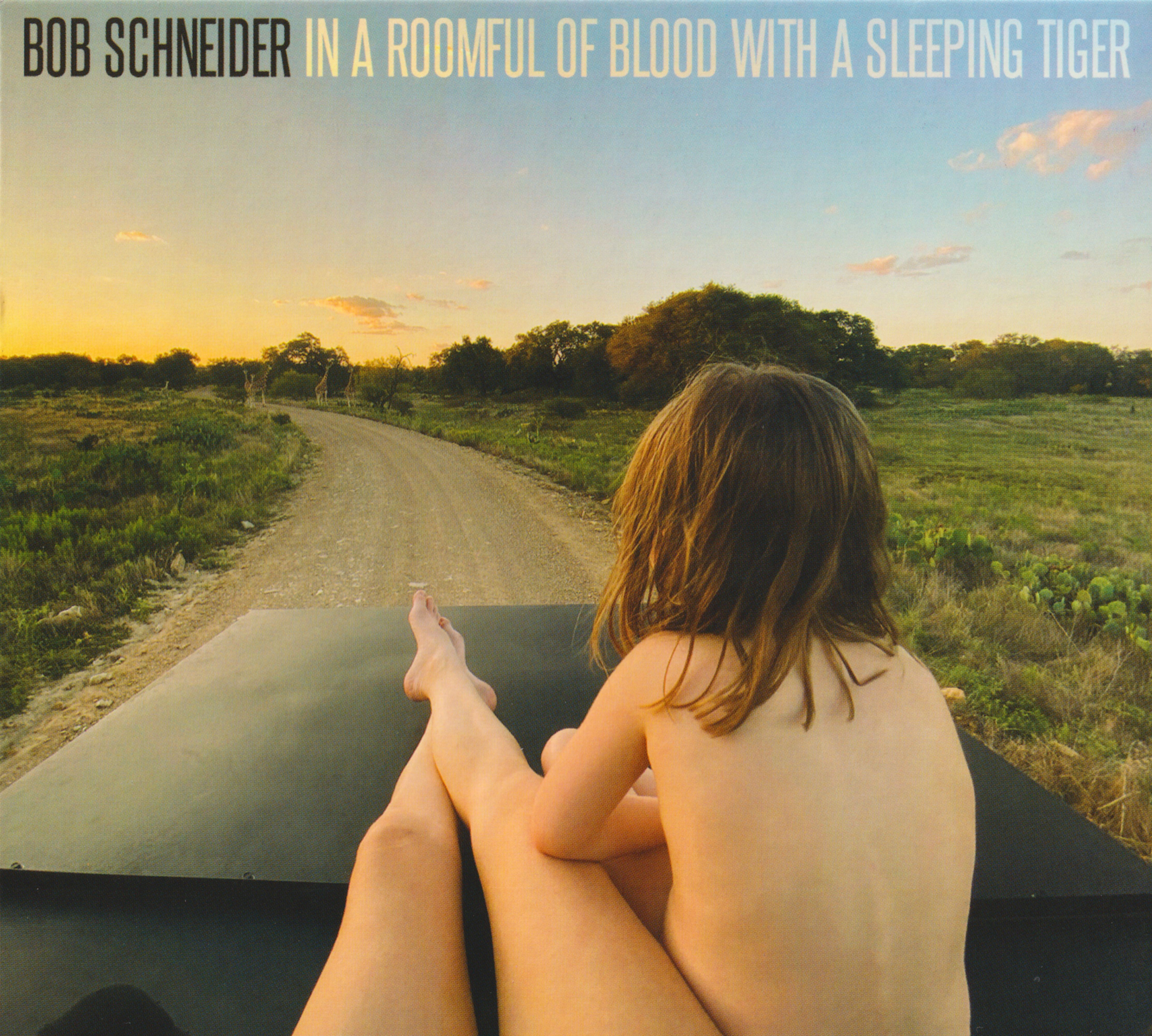 In a Roomful of Blood with a Sleeping Tiger