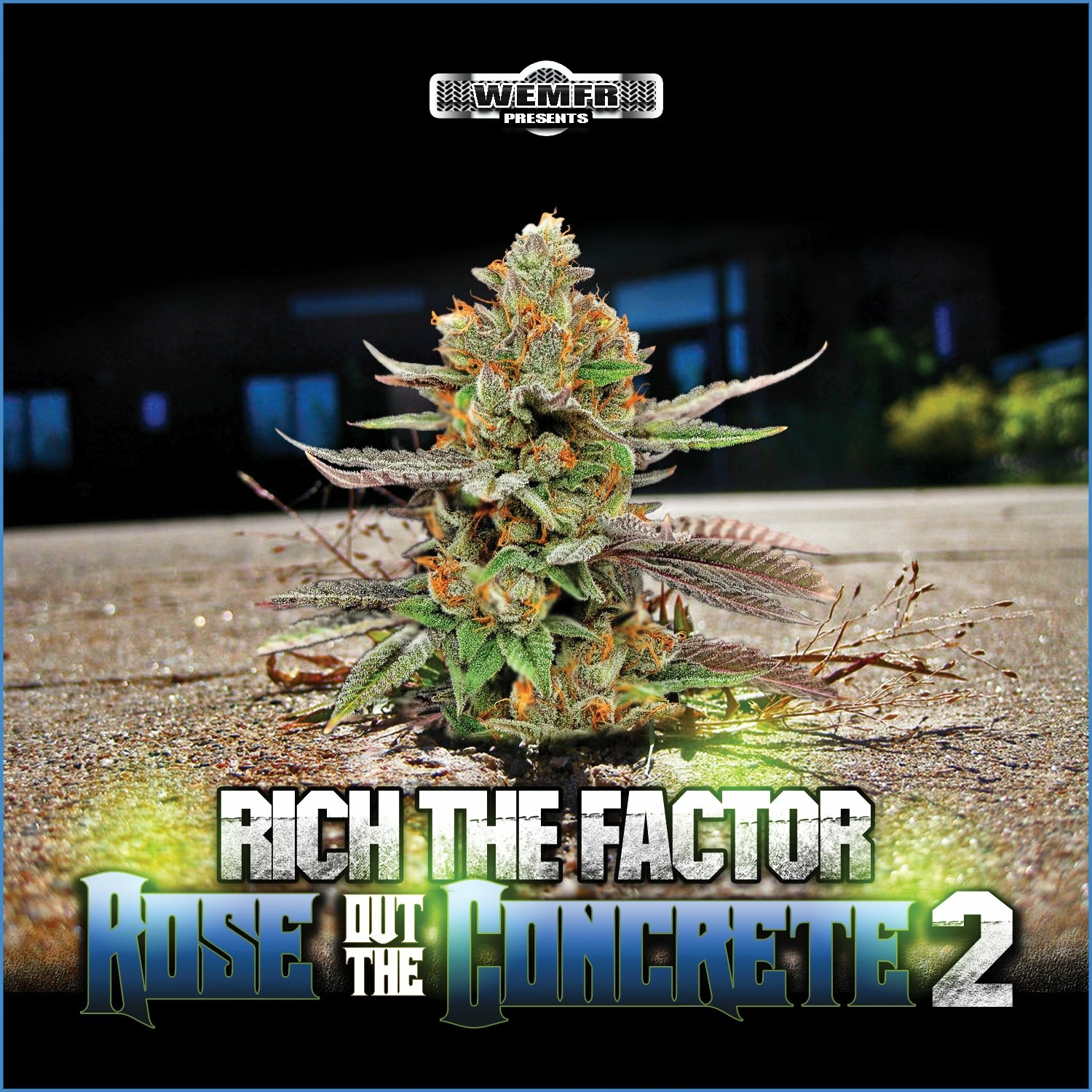 Rose Out the Concrete 2