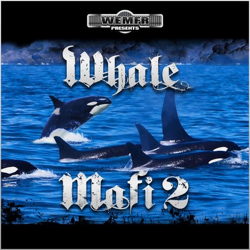 Whale Mafi 2