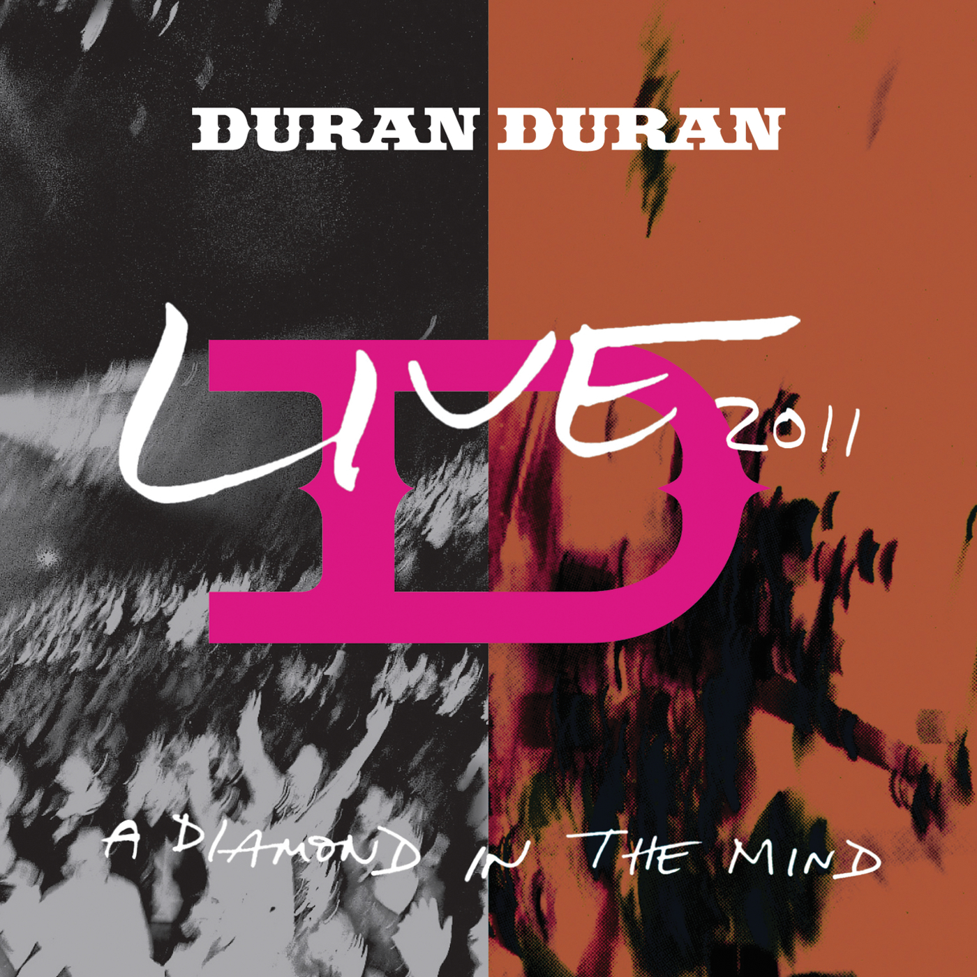 Live 2011: A Diamond in the Mind