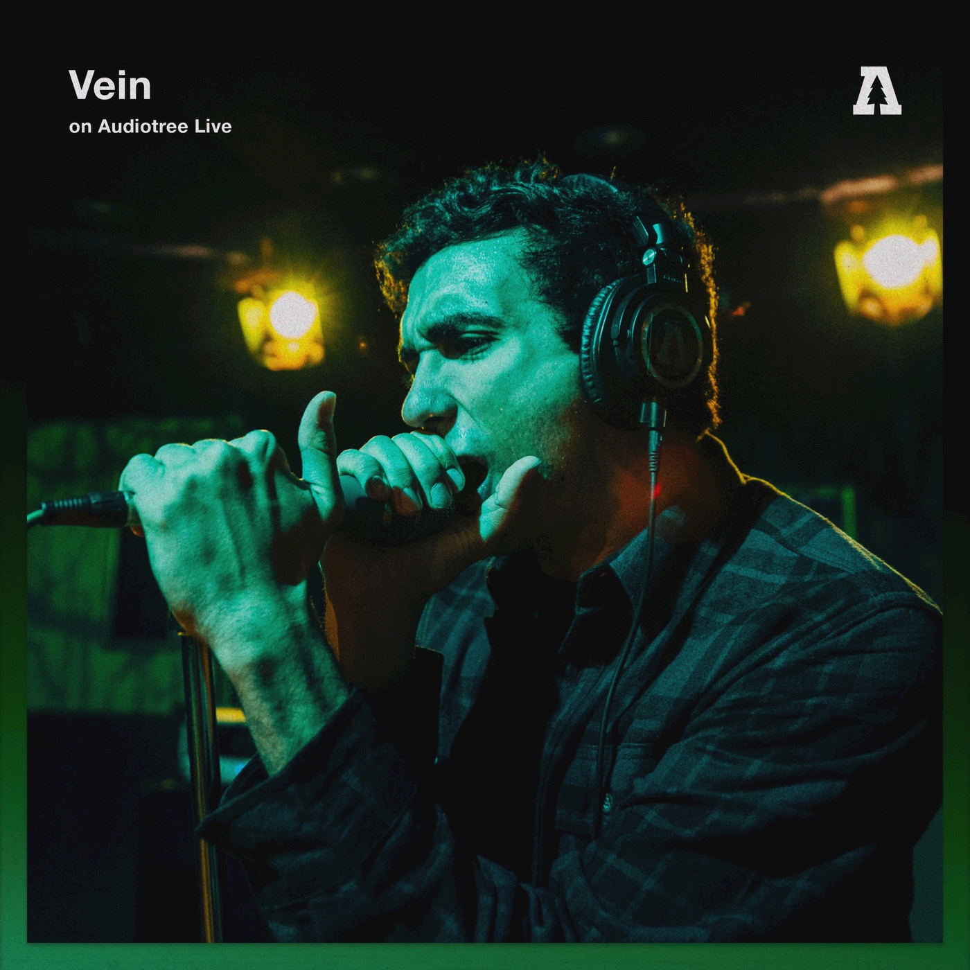 Audiotree Live