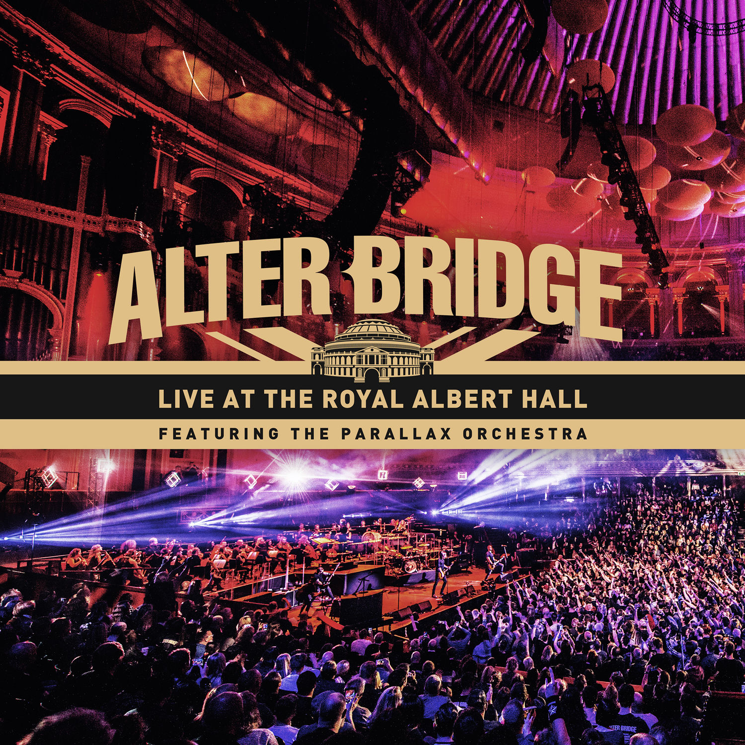 Live at the Royal Albert Hall