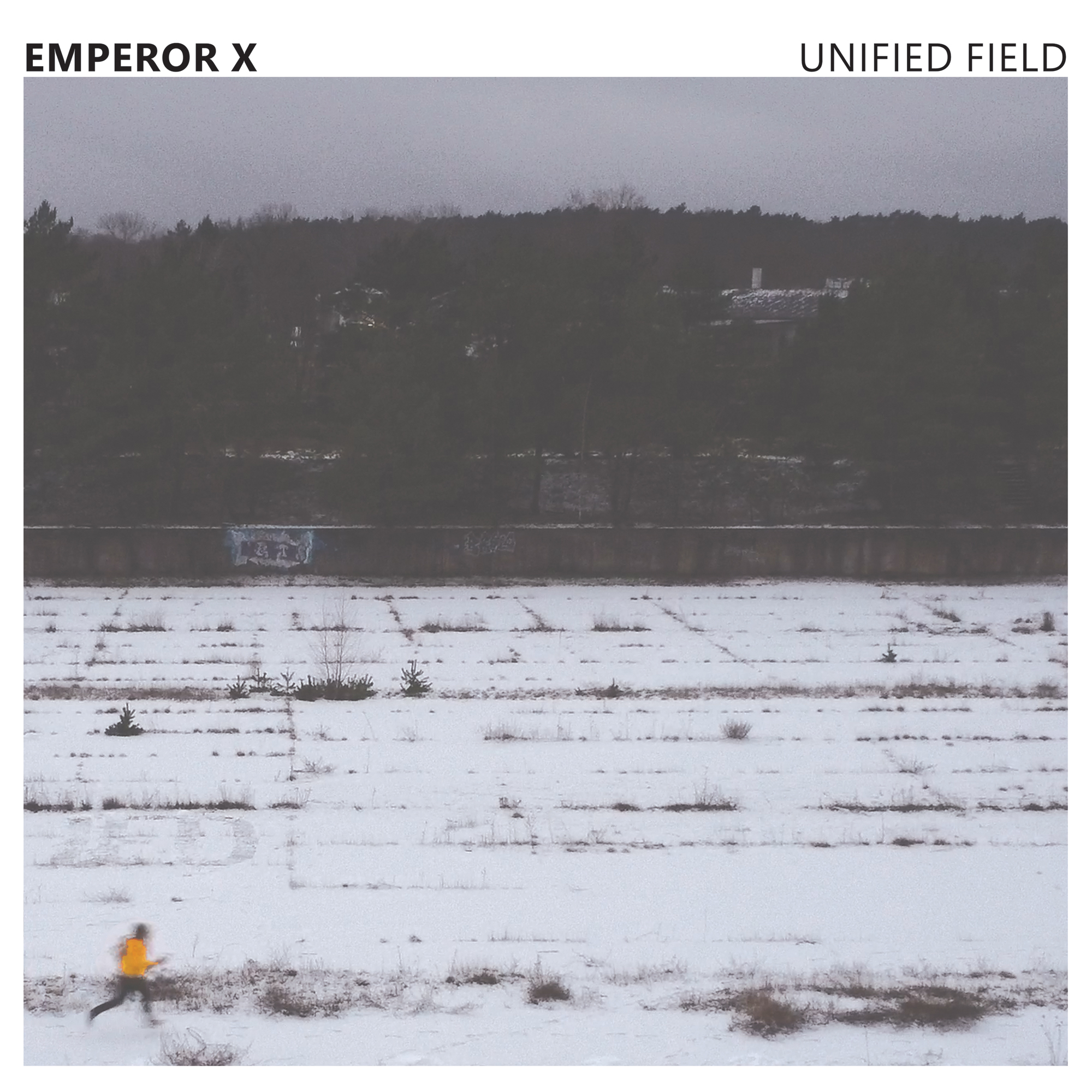Unified Field