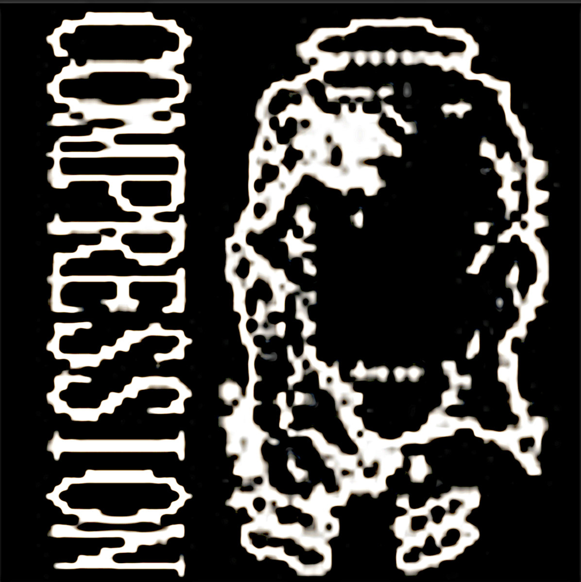 COMPRESSION