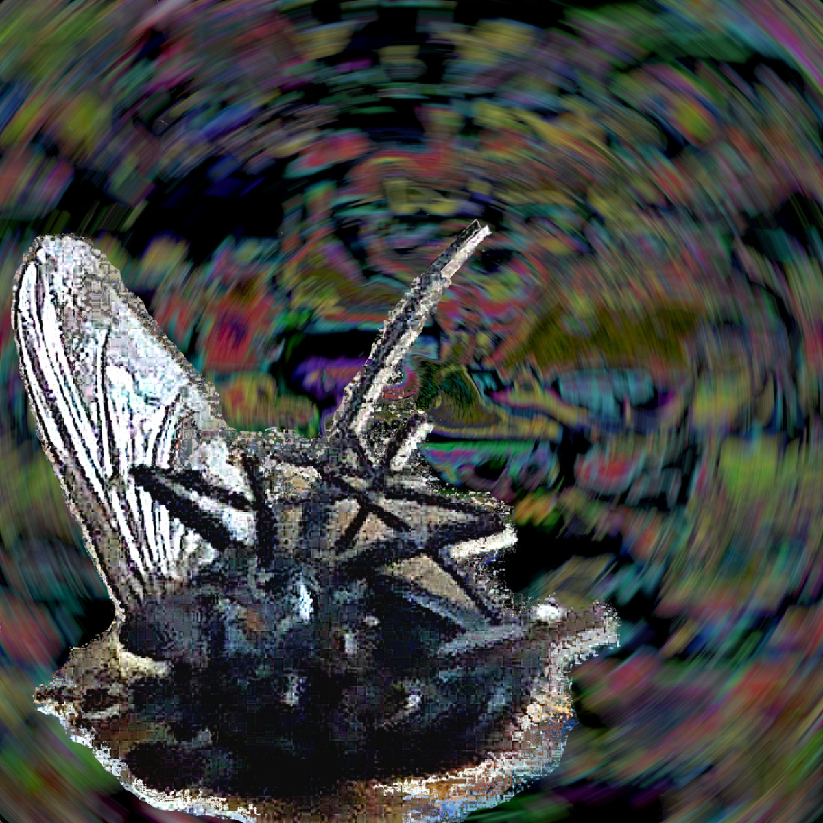 ▒