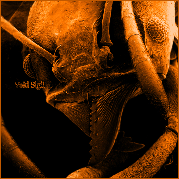 [Sovereign Strain]
