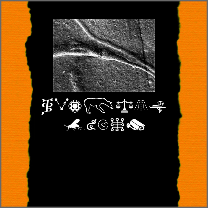 Cultural Propaganda Archive volume 6
