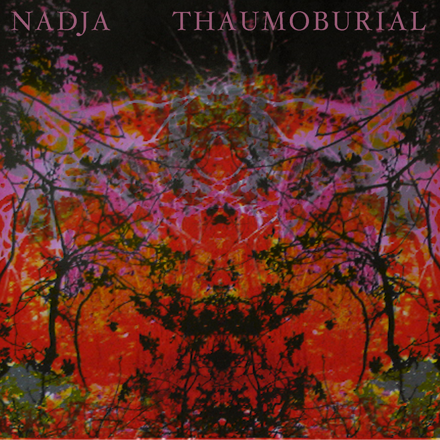 Thaumoburial