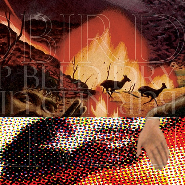 Deadbird / Burned Up Bled Dry