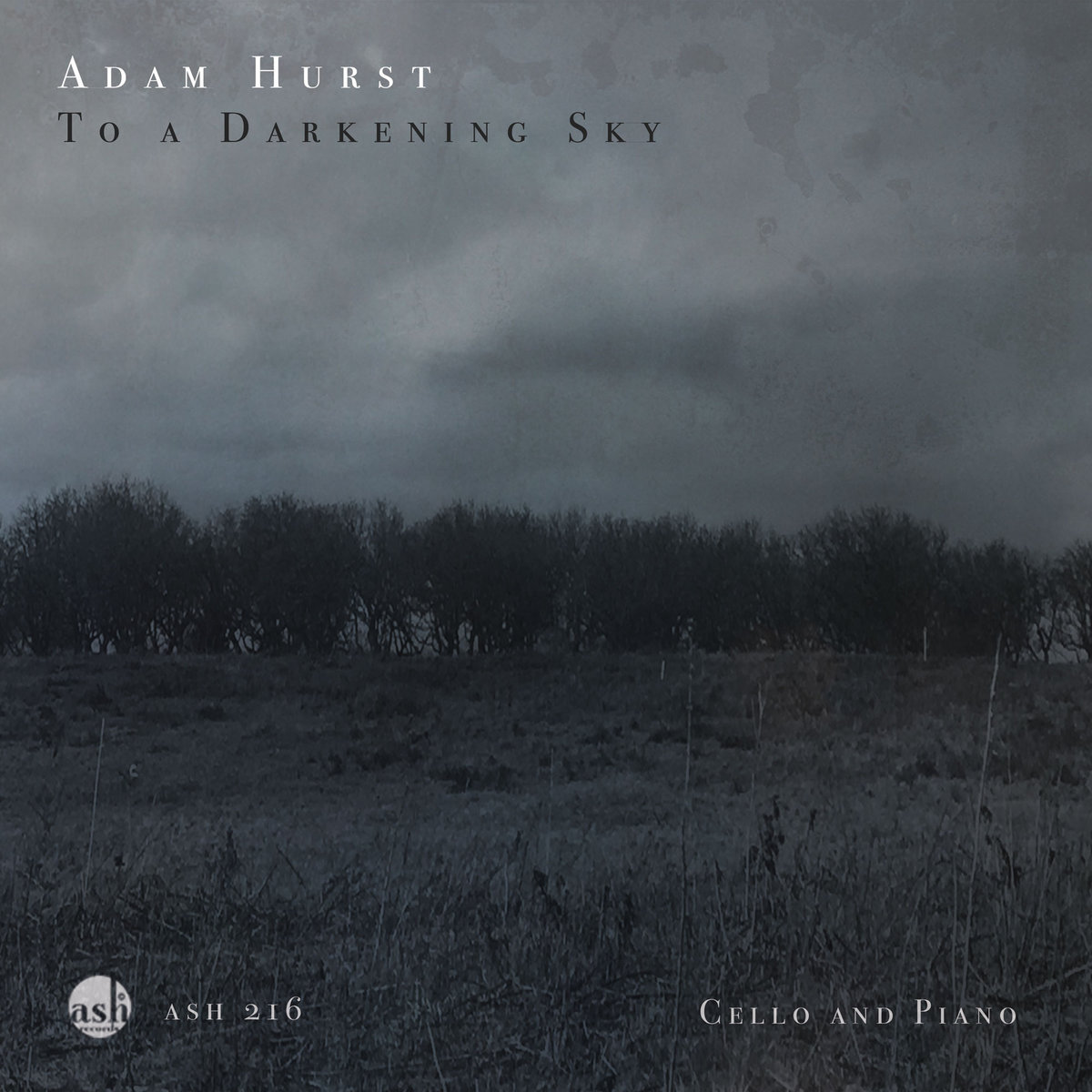 To a Darkening Sky