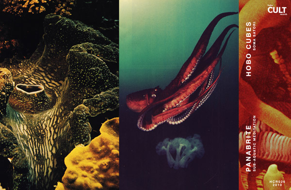 Sub-Aquatic Meditation / Soma Satori