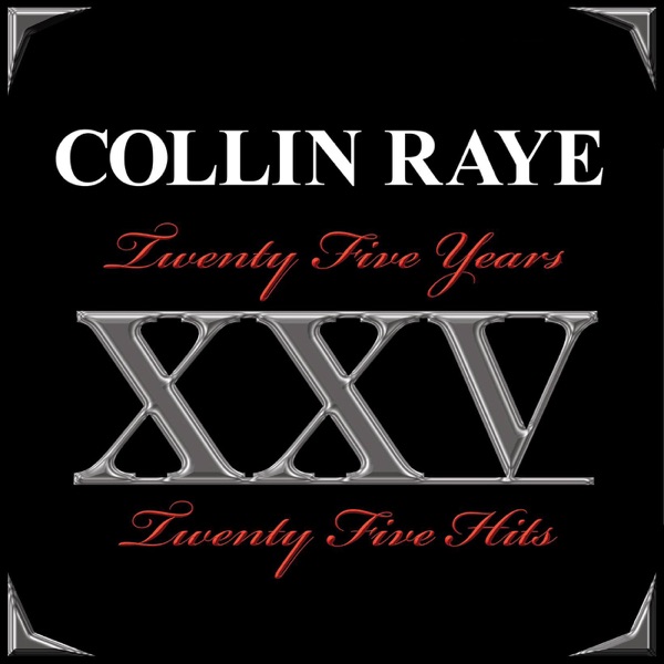 Twenty Five Years, Twenty Five Hits