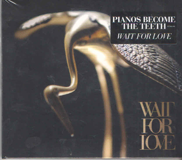 Wait for Love