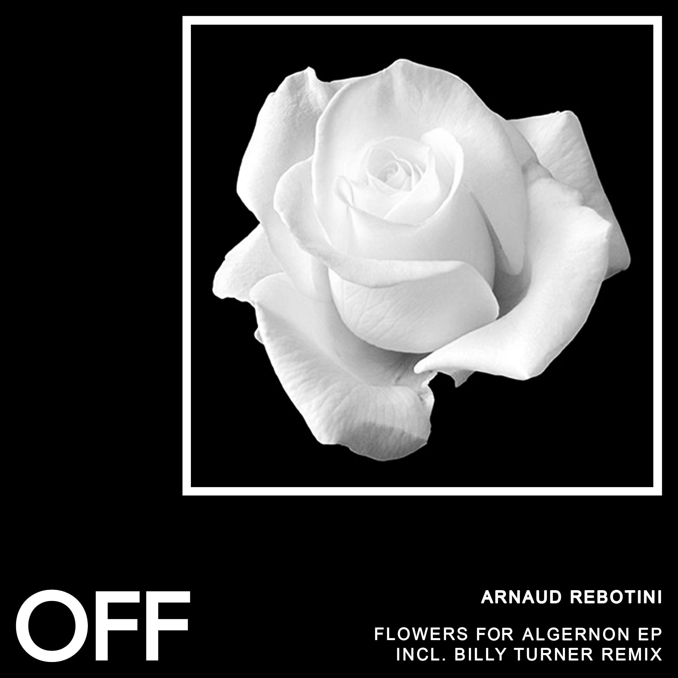 Flowers for Algernon