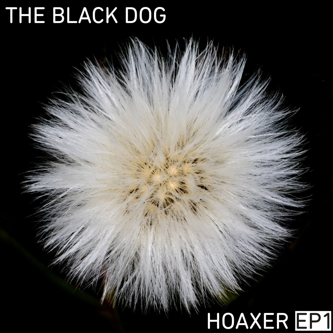 Hoaxer EP1