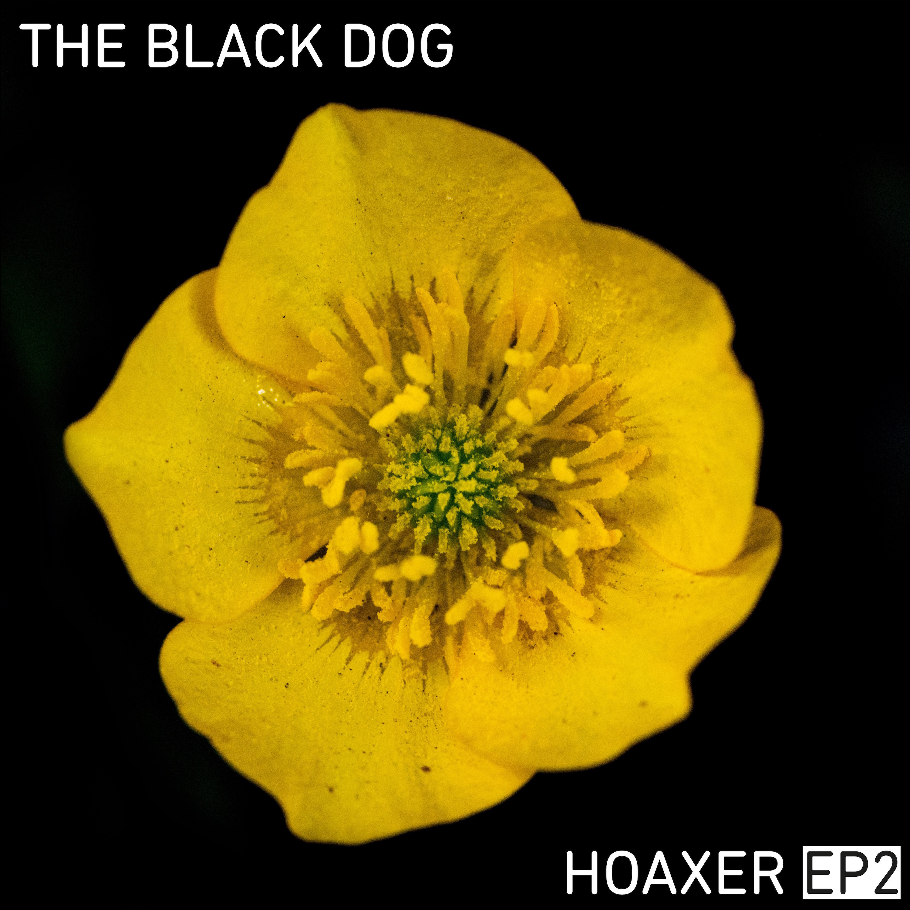 Hoaxer EP2