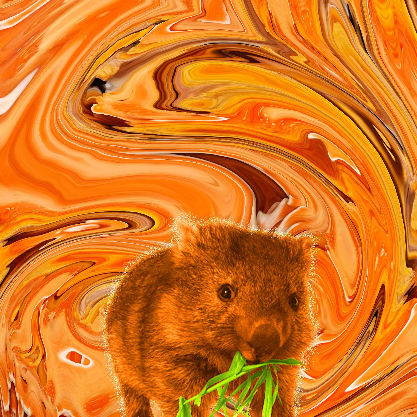 Wombat Noise