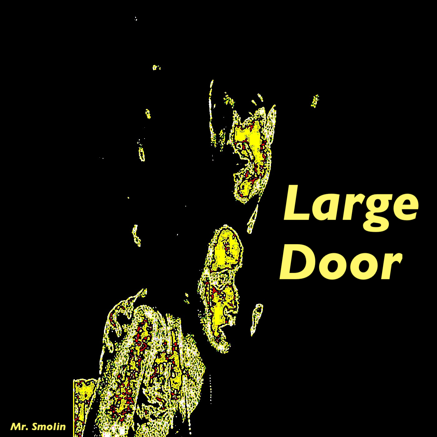 Large Door