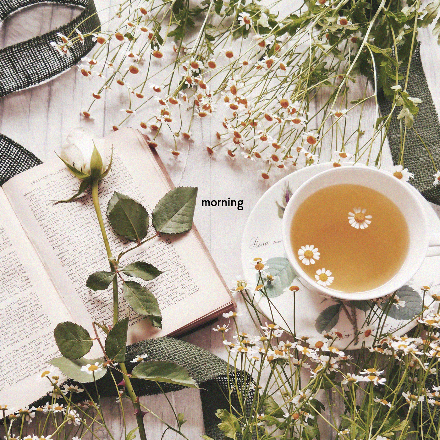 Morning