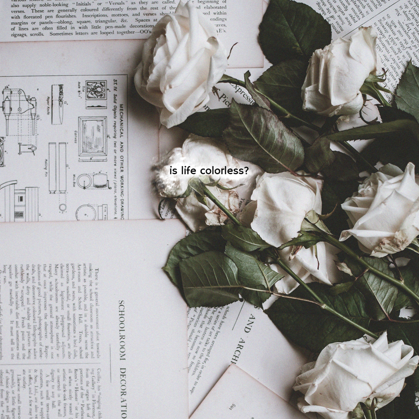 Is Life Colorless?