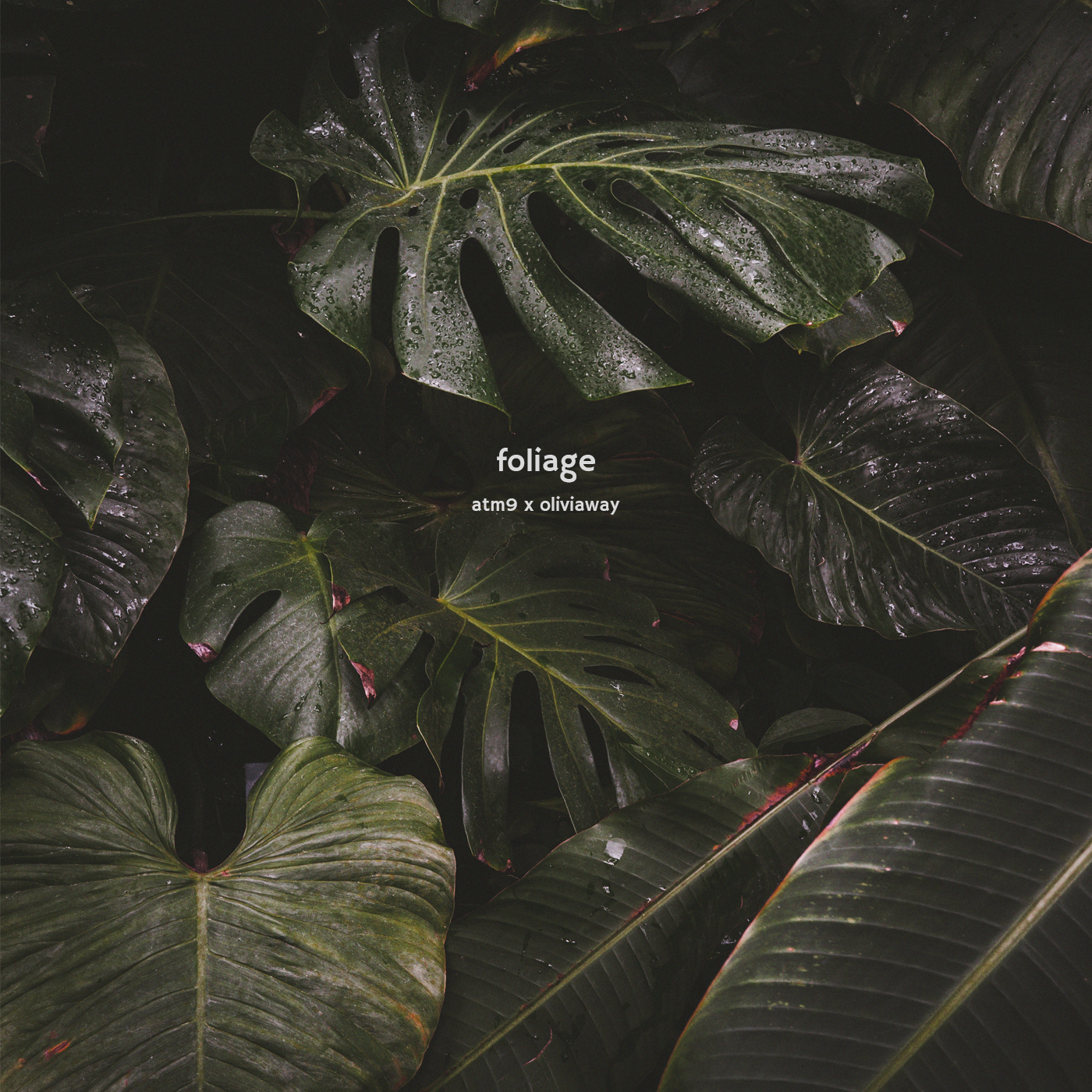 Foliage