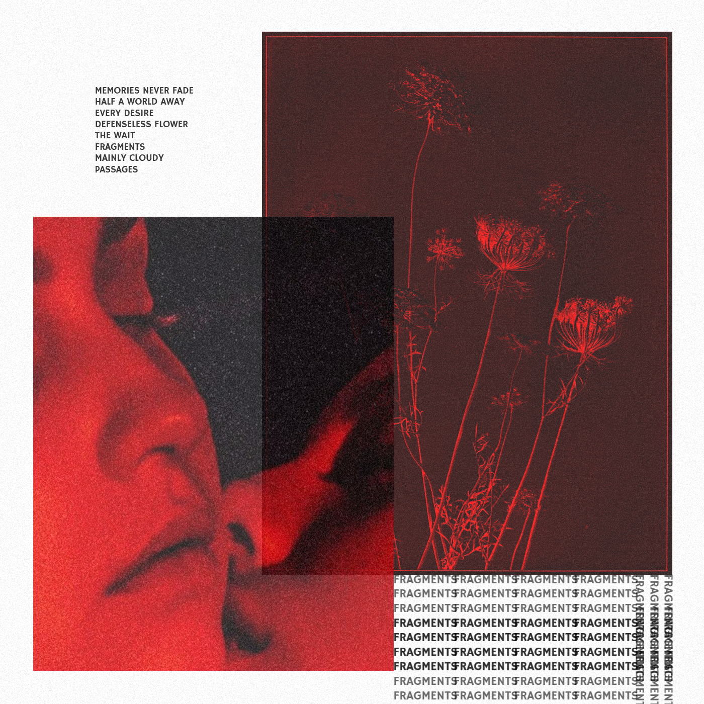 Fragments